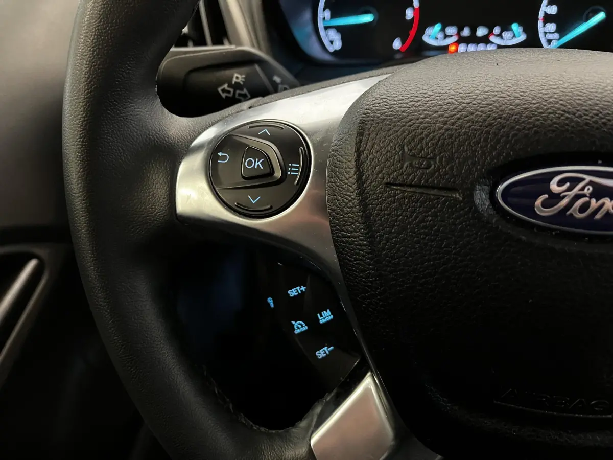 1.5 EcoBlue Automaat L2 Trend Navi Airco Parkeersensoren Cruise Control Camera