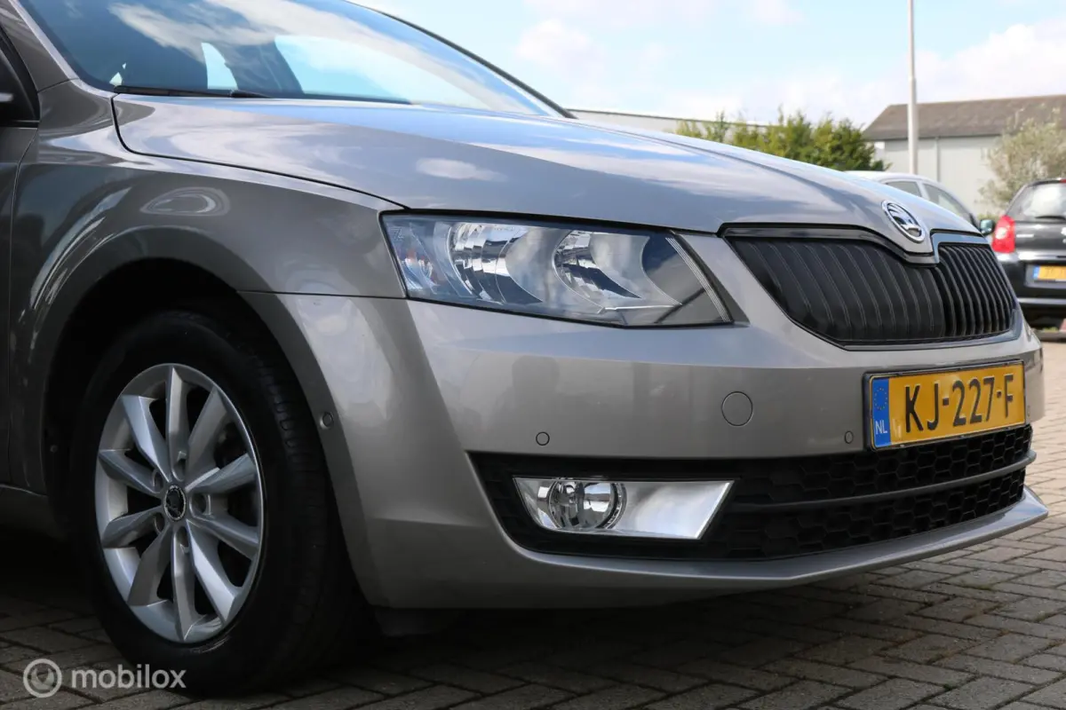 1.0 TSI Grt. Amb. Business |Aut.|Keyless|NAP