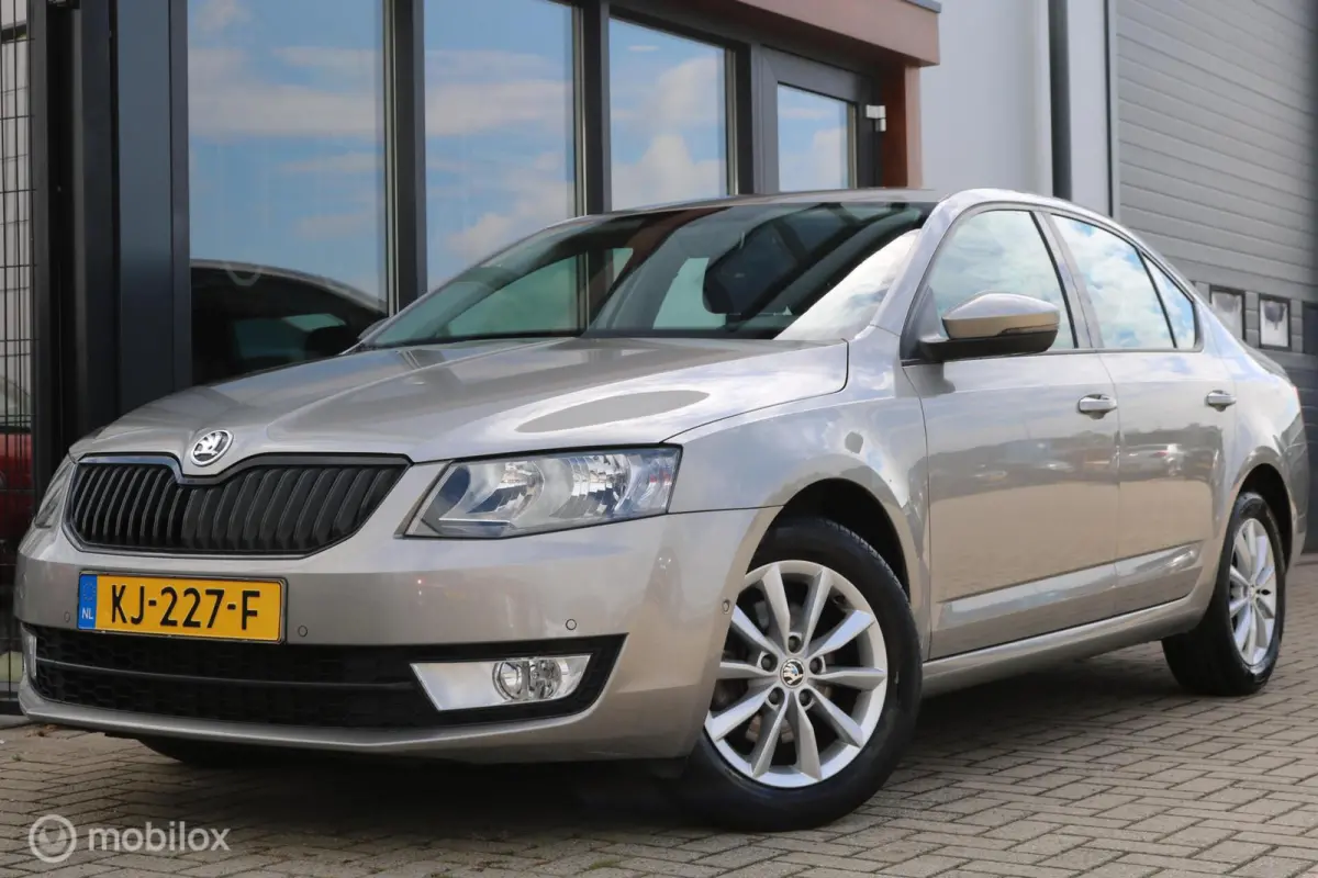 1.0 TSI Grt. Amb. Business |Aut.|Keyless|NAP
