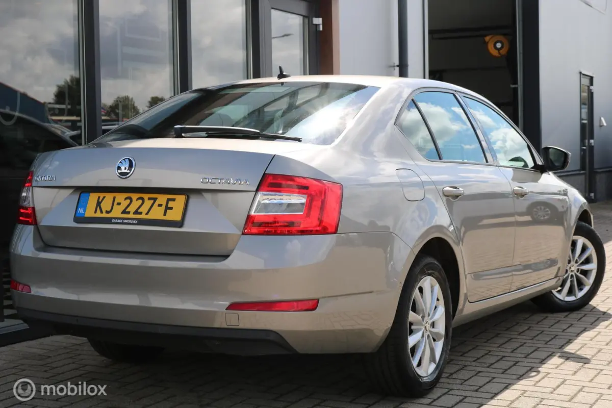 1.0 TSI Grt. Amb. Business |Aut.|Keyless|NAP