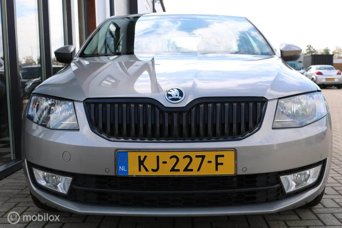 1.0 TSI Grt. Amb. Business |Aut.|Keyless|NAP