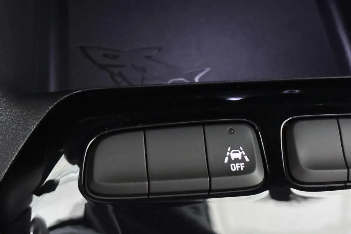 Electric Long Range Edition 51 kWh Achteruitrijcamera Apple CarPlay Parkeersensoren Voor en Achter