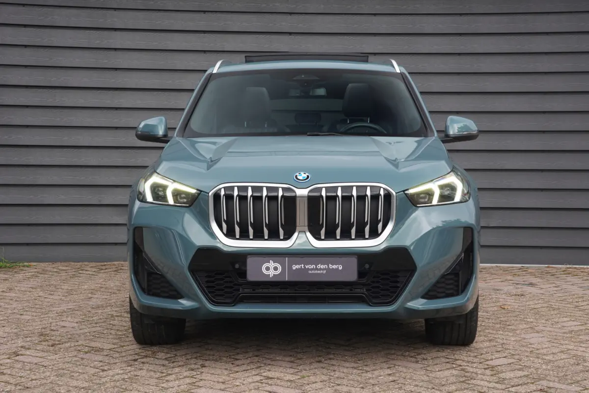 xDrive25e - M SPORT - PANODAK - LEDER - CARPLAY - KEYLESS - CAMERA -