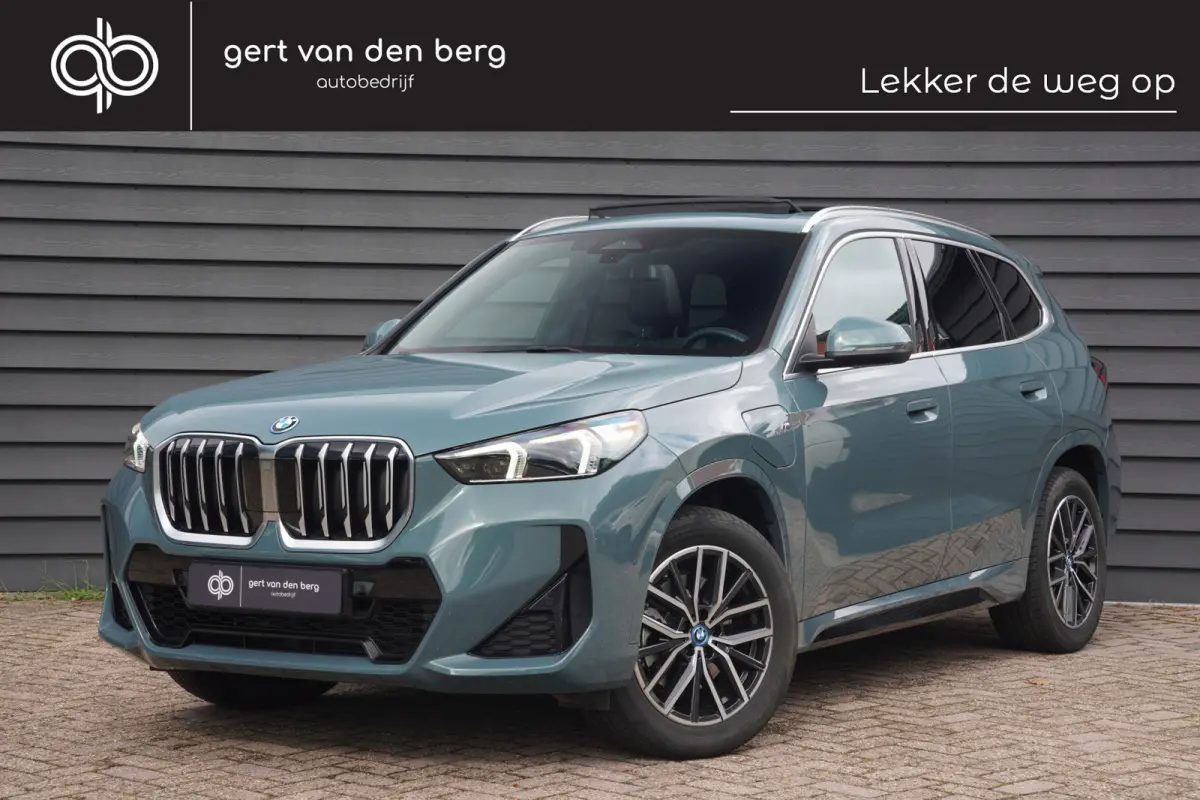 xDrive25e - M SPORT - PANODAK - LEDER - CARPLAY - KEYLESS - CAMERA -