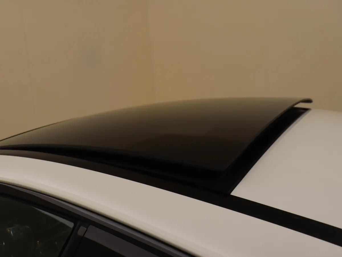 200 / Panoramadak/ Night/ 20 inch/ Burmester/ Memory/ Designo/ E53 Look/ Adap. onderstel
