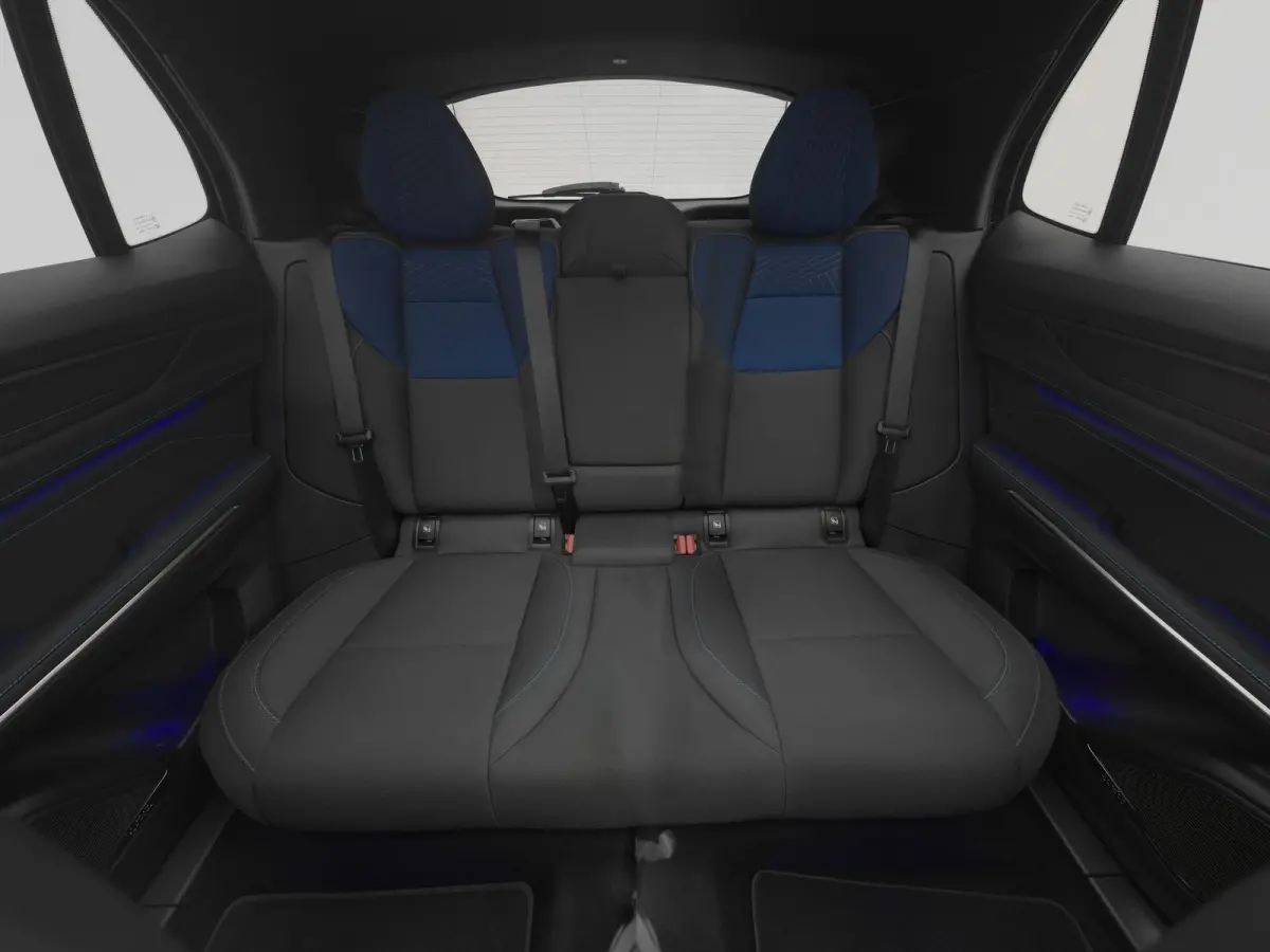 1.5 Plug-in Hybrid | 360° | BLACK | ZWARTE HEMEL | NLD AUTO