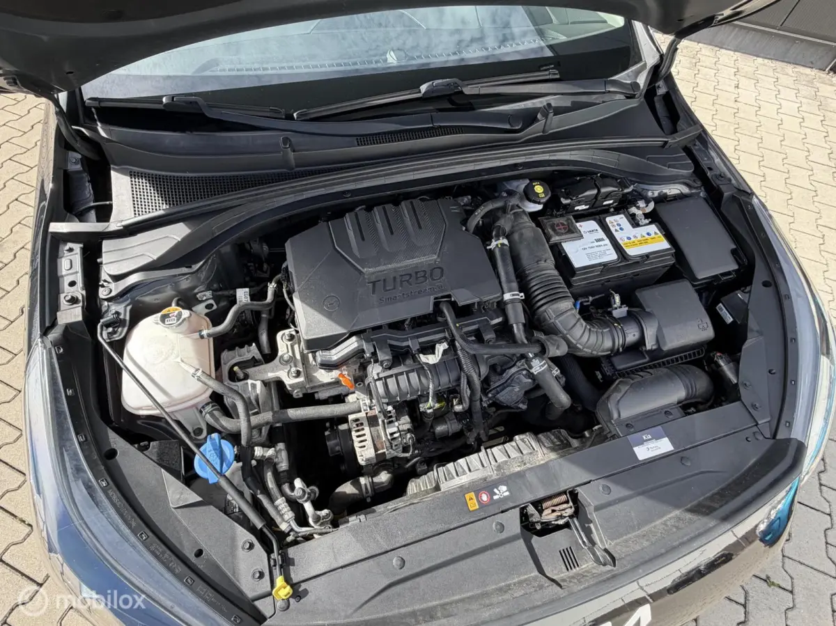 1.0 T-GDi DynamicLine | CRUISE | CARPLAY |