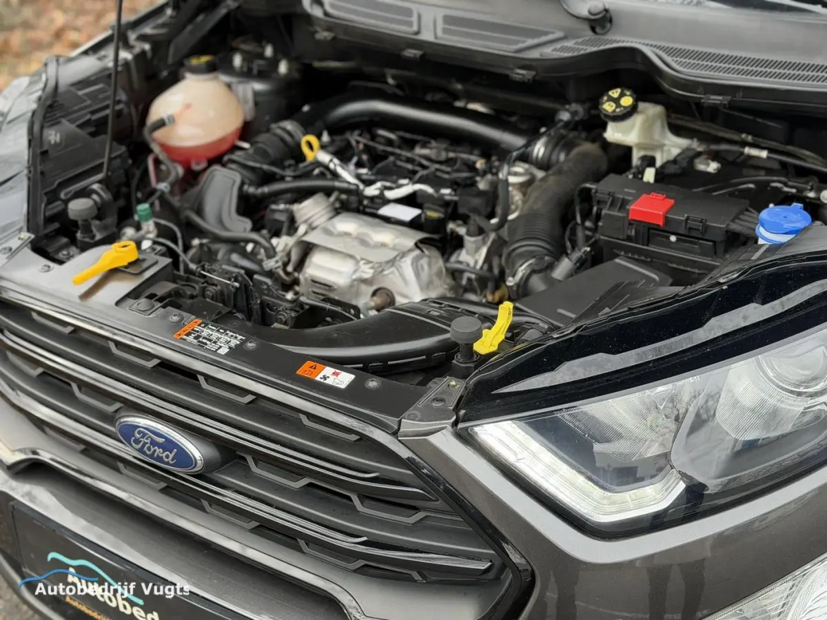 1.0 EcoBoost ST-Line *Nieuwe Distr.riem*Rijklaar