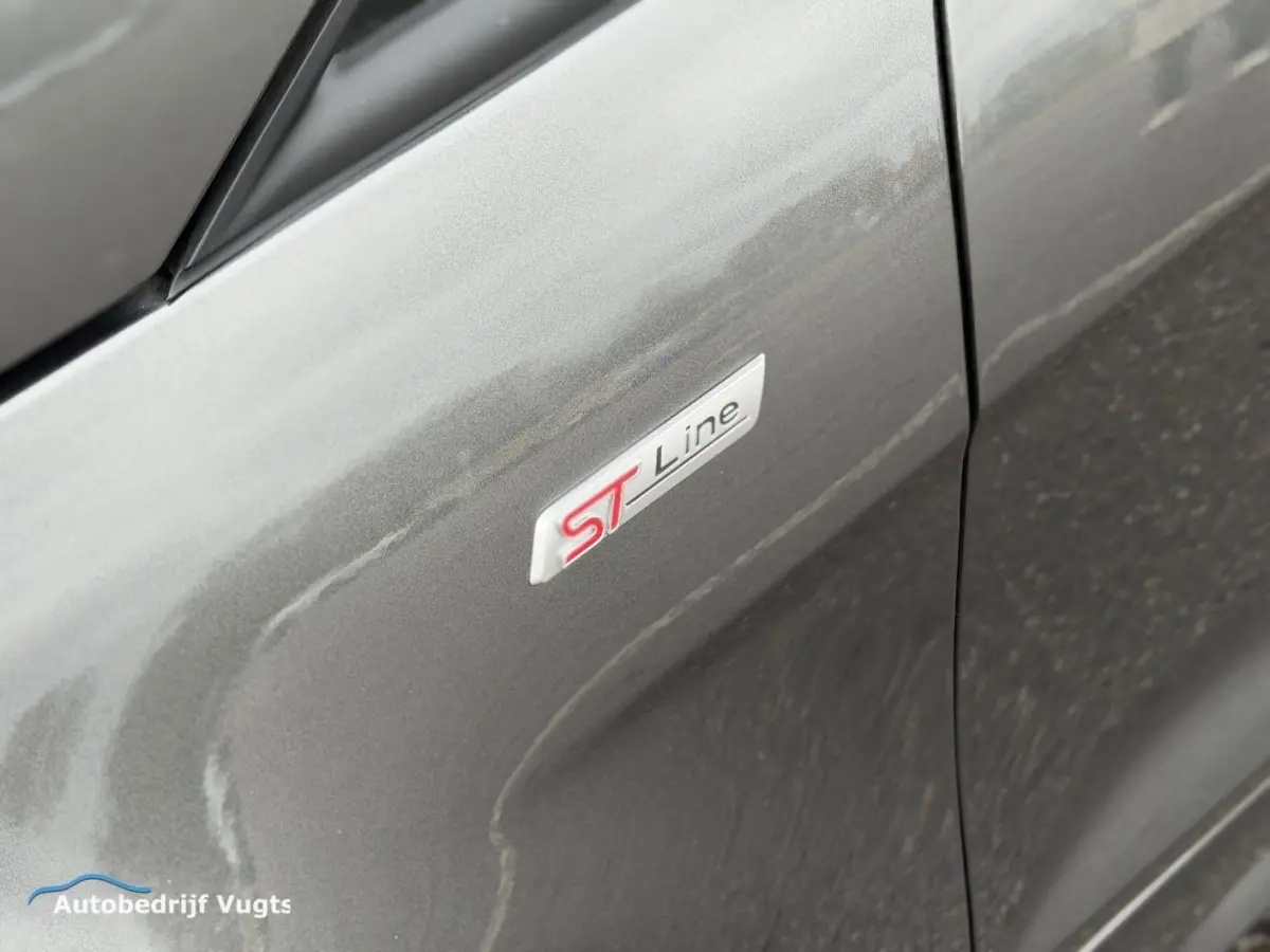 1.0 EcoBoost ST-Line *Nieuwe Distr.riem*Rijklaar
