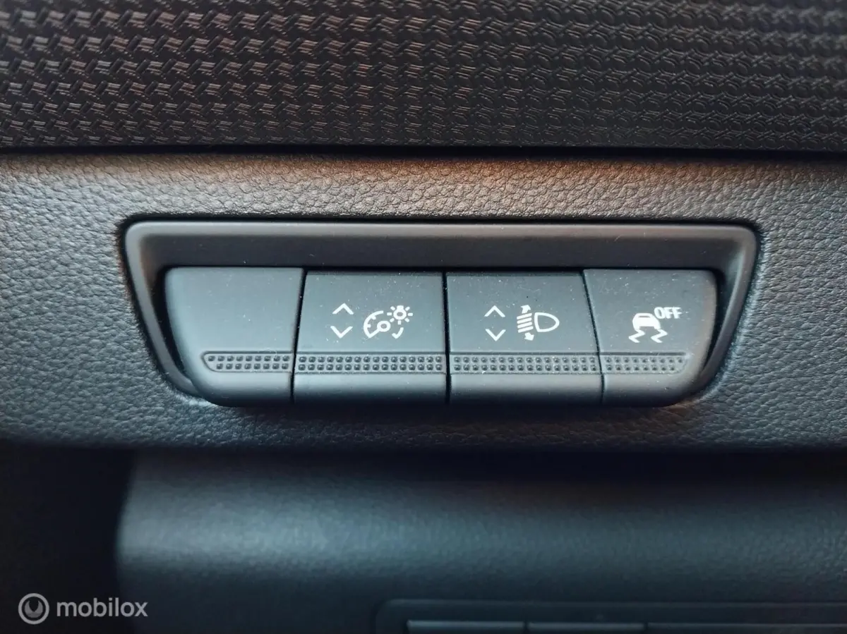 L1 1.5 DCI bleu 75 Luxe