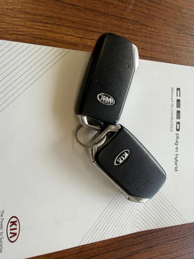 1.6 GDI PHEV EXECUTIVE, PANORAMADAK, LEER, NAVIGATIE, LED, CRUISE