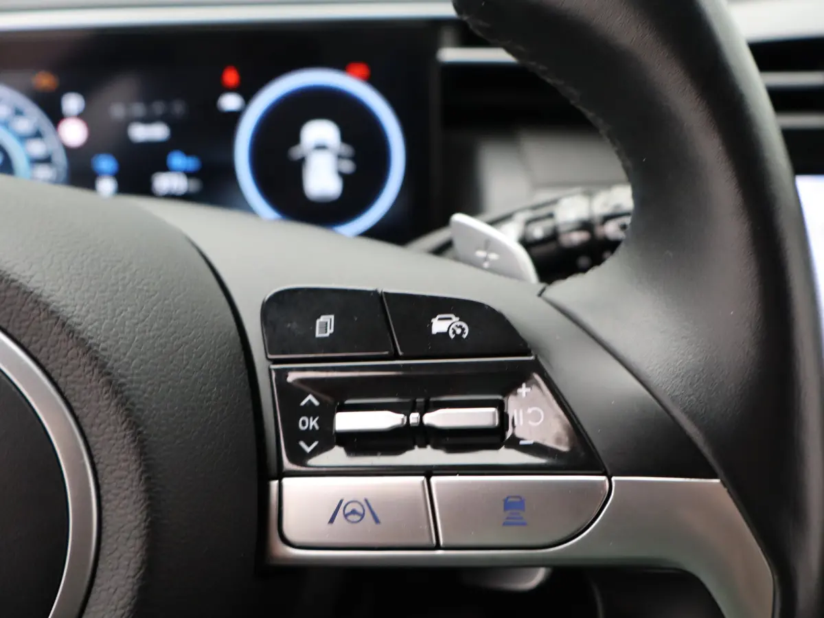 1.6 T-GDI PHEV Comfort Smart 4WD