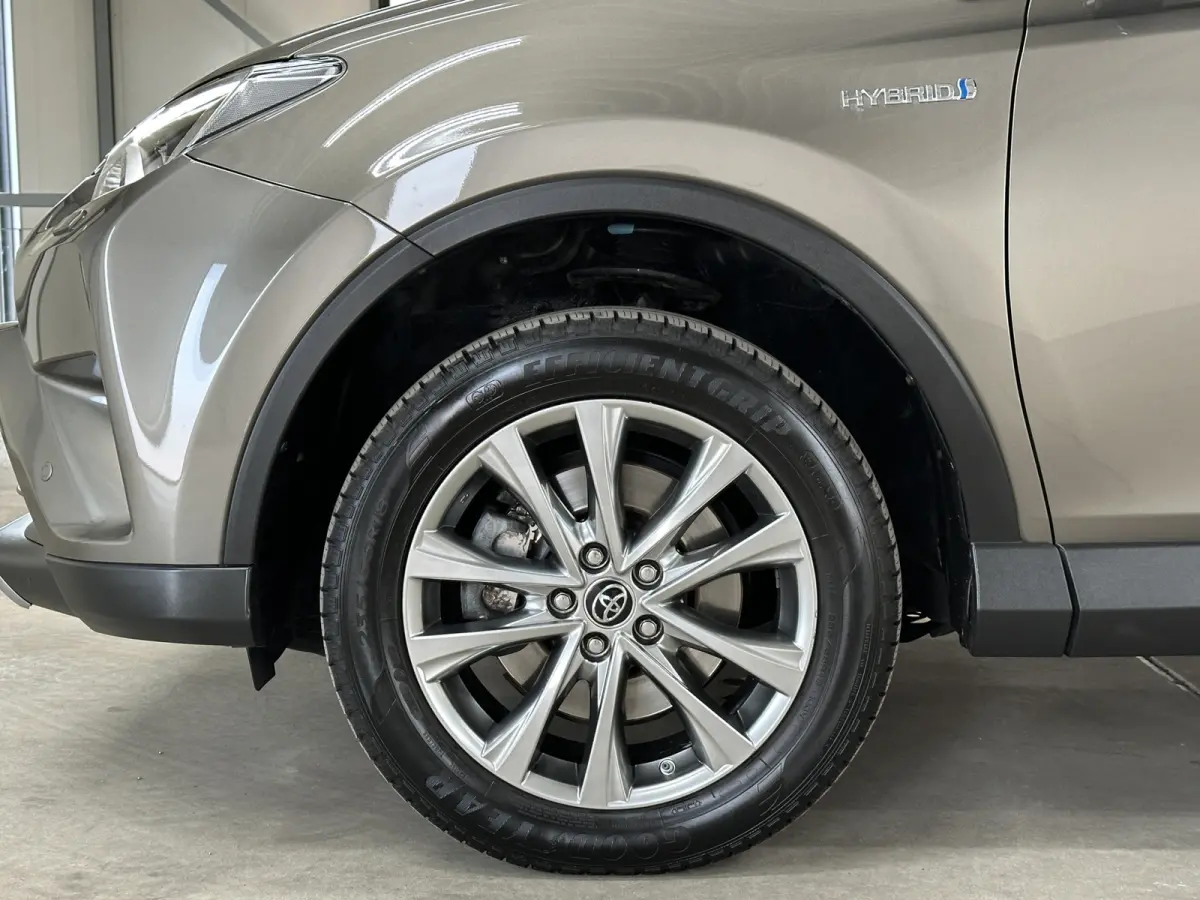 2.5 Hybrid Dynamic Sport | Navi | Camera |
