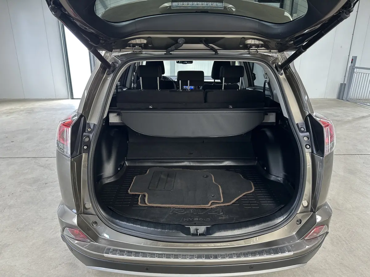 2.5 Hybrid Dynamic Sport | Navi | Camera |
