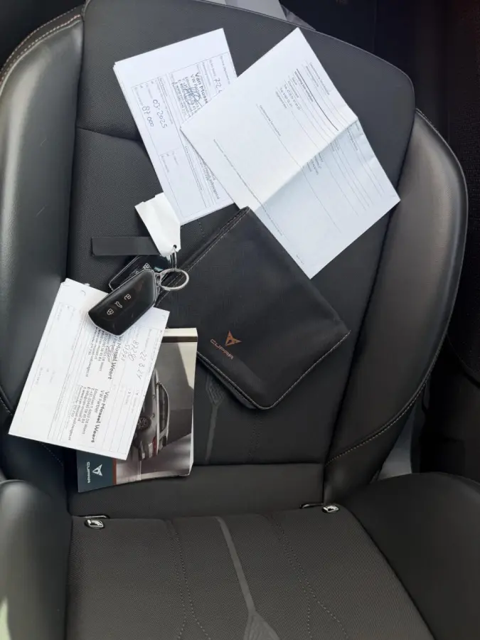 1.4 TSI eHybrid PHEV VZ Performance|PANO