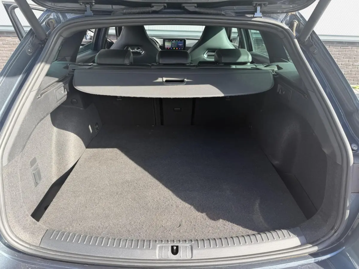1.4 TSI eHybrid PHEV VZ Performance|PANO