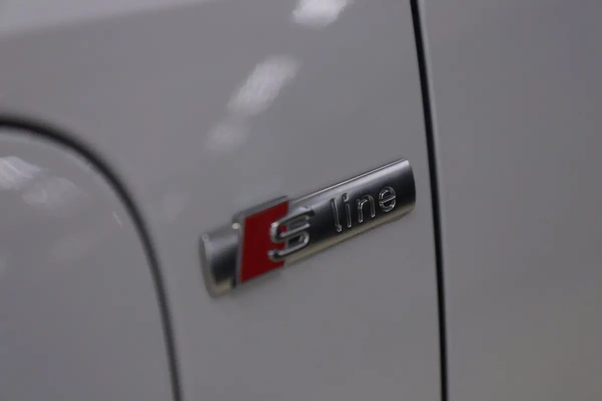 45 TFSI e S Edition 3X S-Line /PANO/KEYLES/STOELV/CARPLAY/VOL