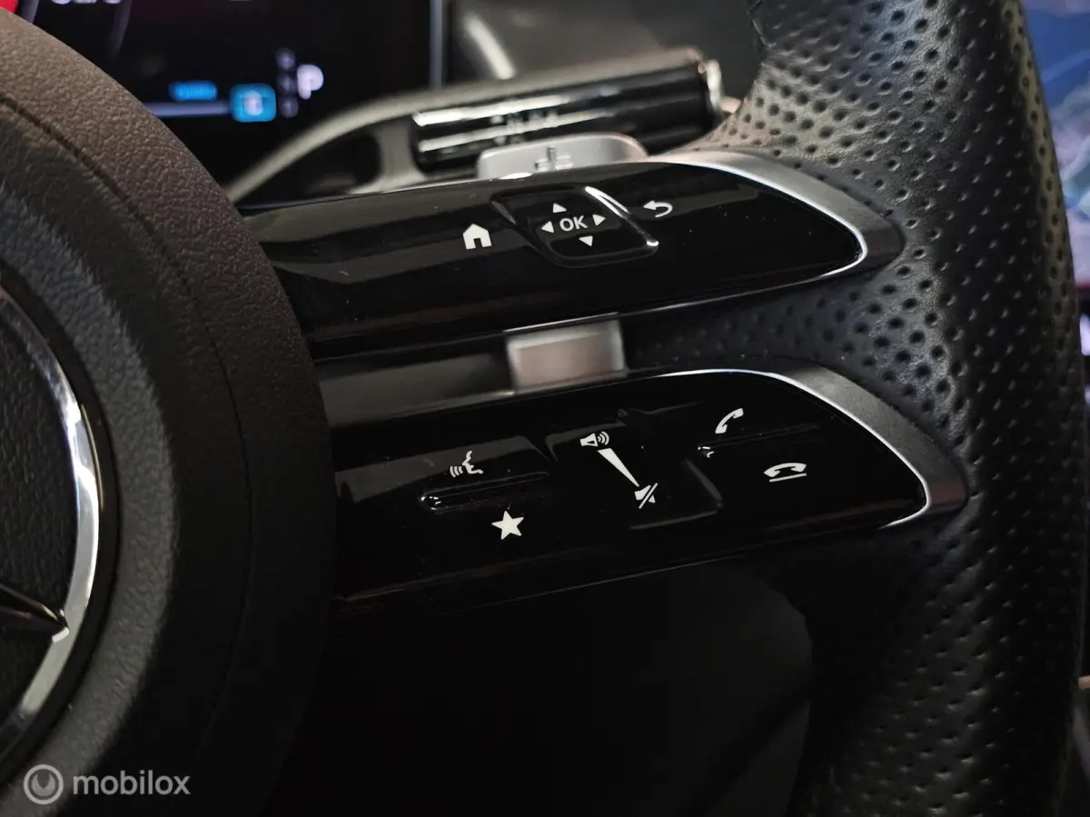300 4MATIC AMG Line Panorama/Burmester/Memory