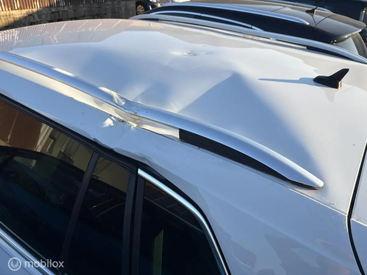 2.0 TSI 4Motion Highline / DAKSCHADE
