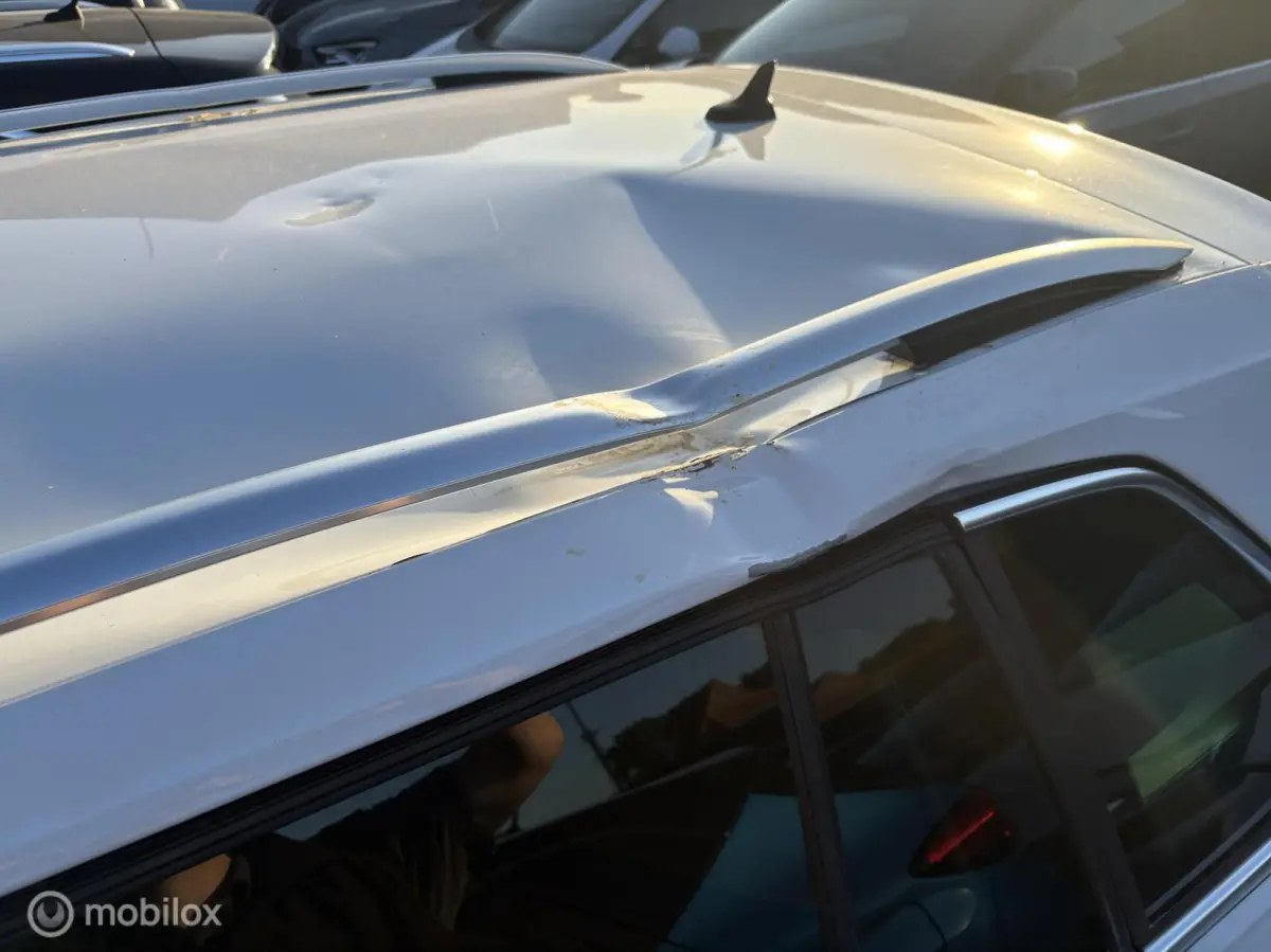 2.0 TSI 4Motion Highline / DAKSCHADE