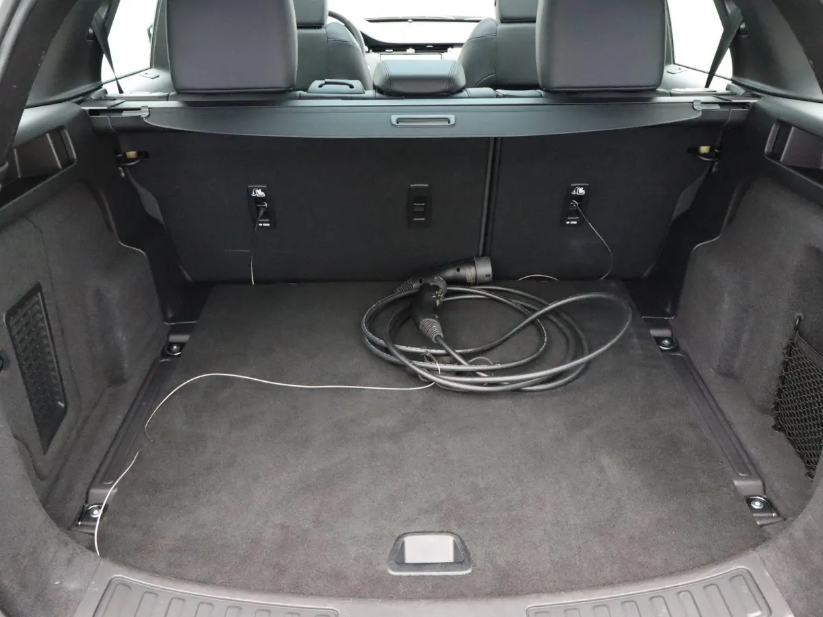 P300e R-Dynamic SE | Stoelverwarming | Adaptive cruise control | Memory stoel |