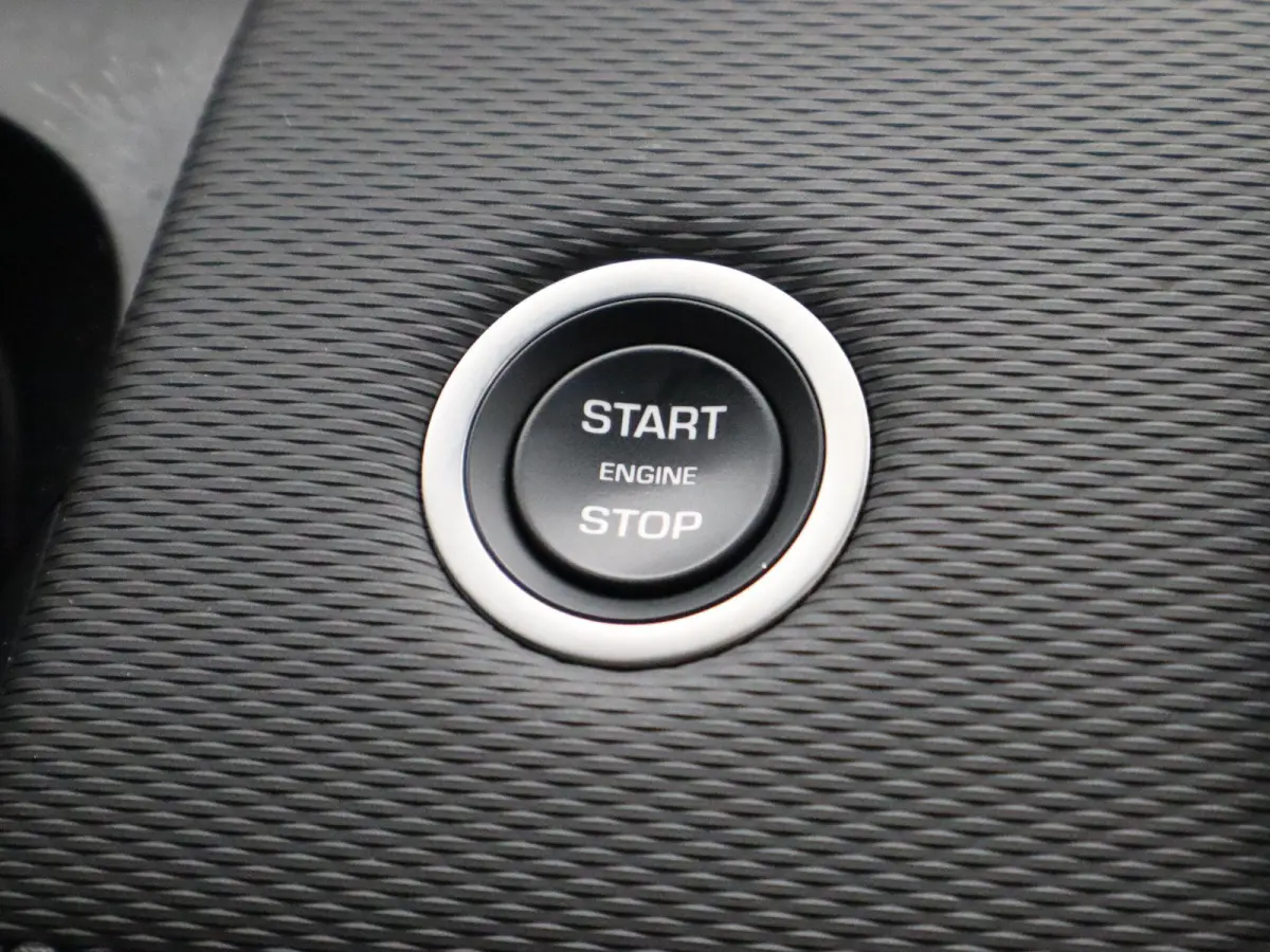 P300e R-Dynamic SE | Stoelverwarming | Adaptive cruise control | Memory stoel |