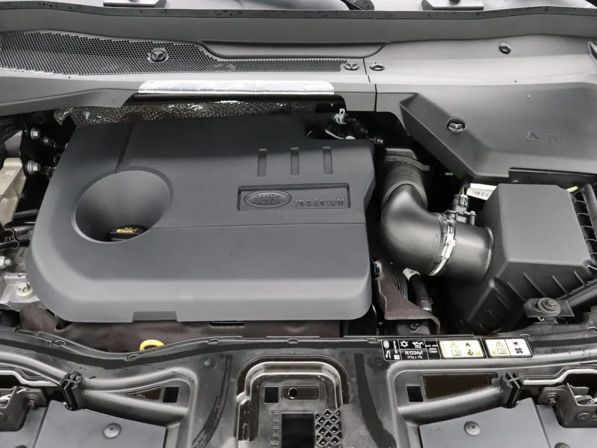 P300e R-Dynamic SE | Stoelverwarming | Adaptive cruise control | Memory stoel |