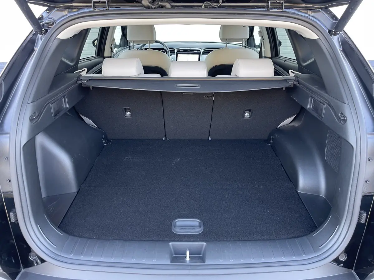 1.6 T-GDI PHEV Premium Sky 4WD | Pano | Leder | LED