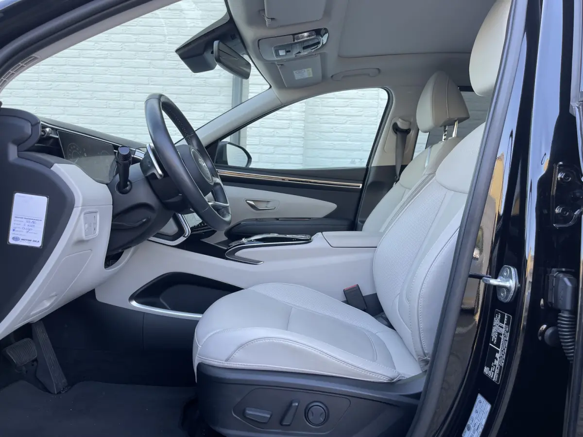 1.6 T-GDI PHEV Premium Sky 4WD | Pano | Leder | LED