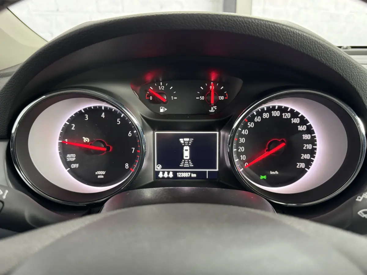 1.0 Online Edition Cruise Control Parkeersensoren Navigatie