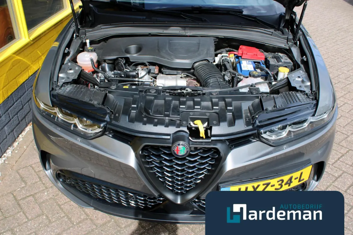 1.5T Hybrid Edizione Speciale Carplay