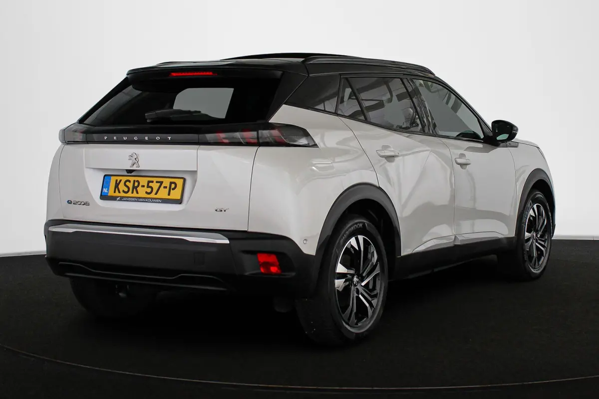 EV GT 50 kWh SOH 100% Panoramadak Stoelverwarming Achteruitrijcamera