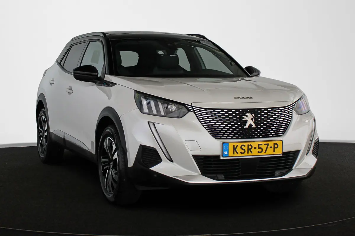 EV GT 50 kWh SOH 100% Panoramadak Stoelverwarming Achteruitrijcamera