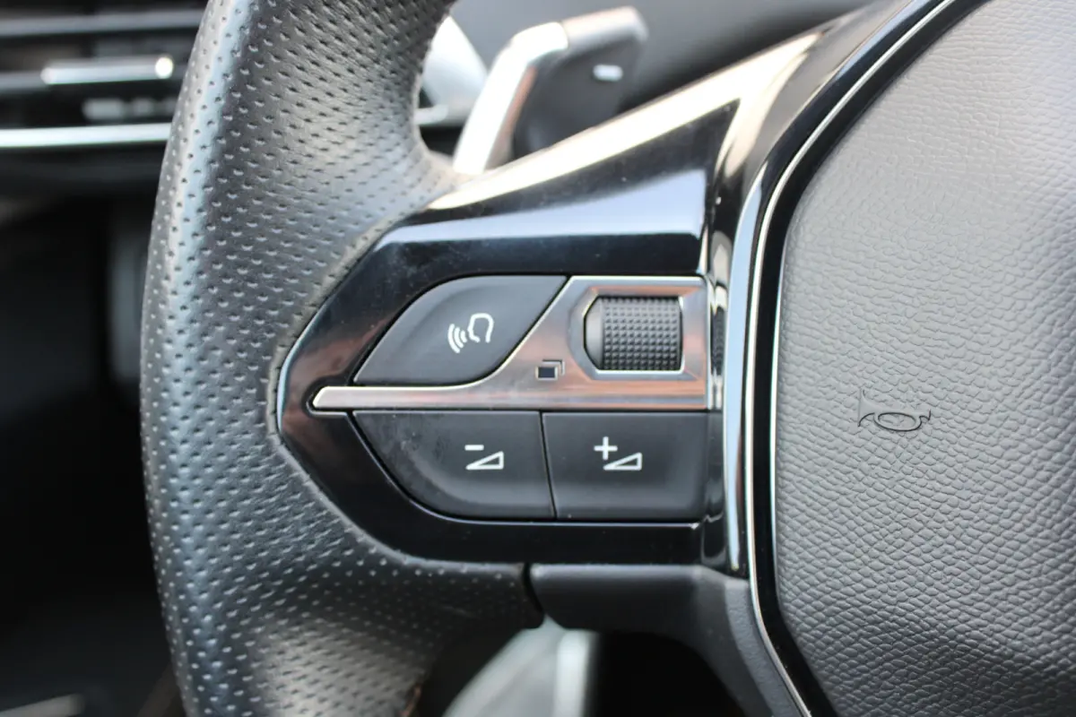 1.6 HYbrid 225 GT | Black Pack | Alcantara | Camera | Navigatie | Focal |