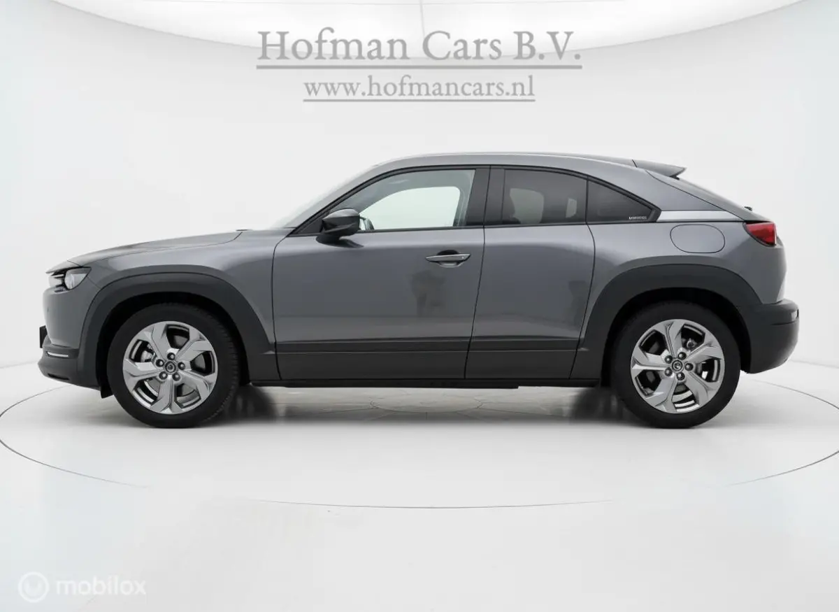 e-SkyActiv 145 - SOH 94% - 36 kWh – NAP – Camera - NL Auto – Fabrieksgarantie batterij