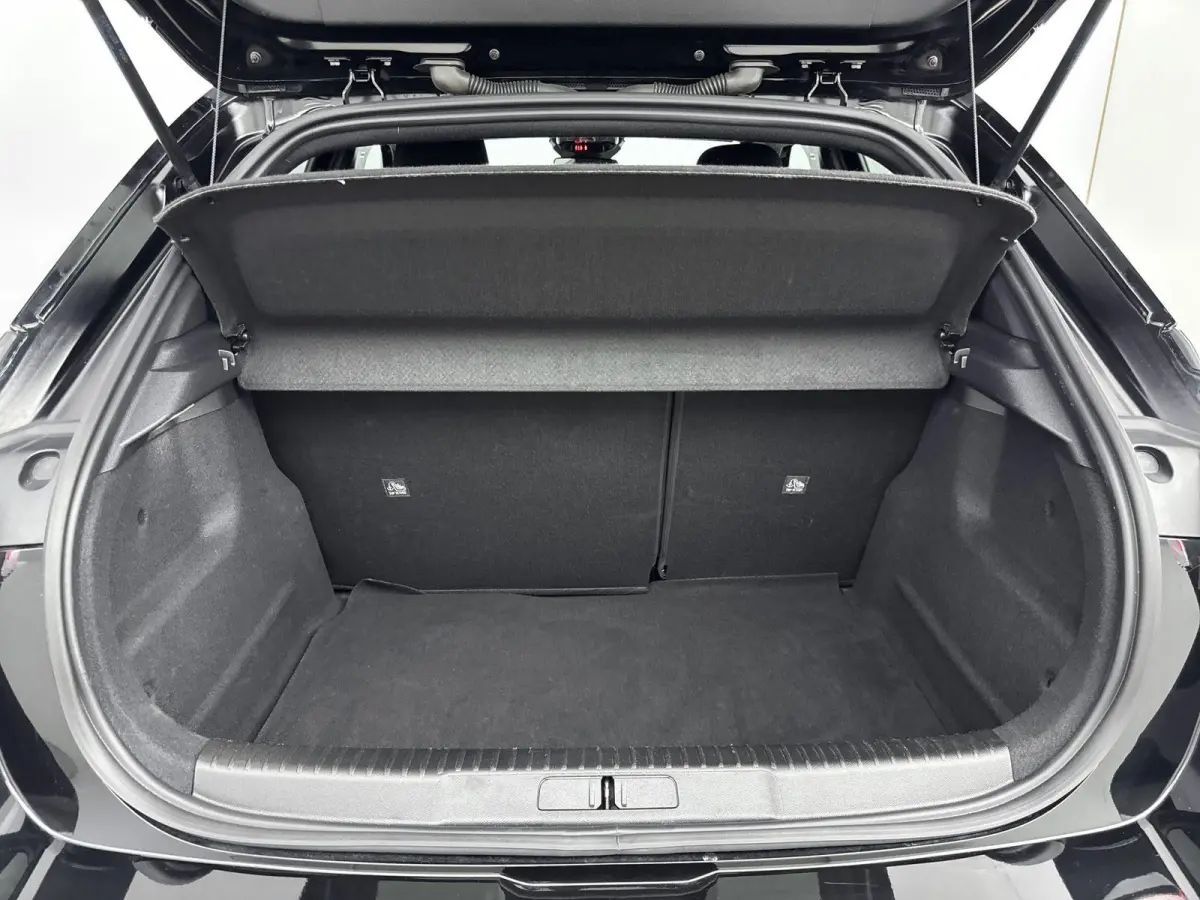 GS 54 kWh | ACCU 97% | Dodehoekdetectie | Navigatie | Adaptieve cruise control | Lichtmetalen velgen |