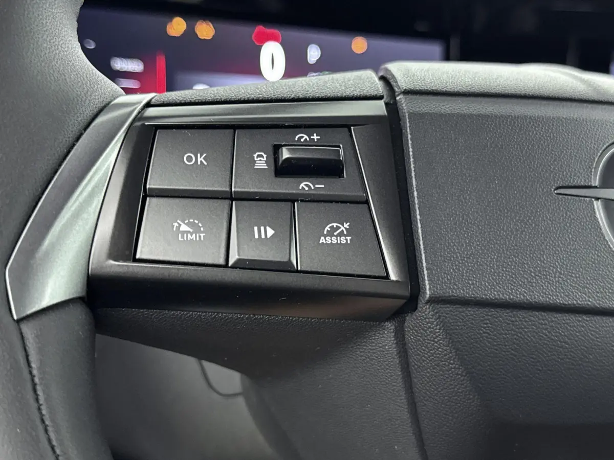 GS 54 kWh | ACCU 97% | Dodehoekdetectie | Navigatie | Adaptieve cruise control | Lichtmetalen velgen |