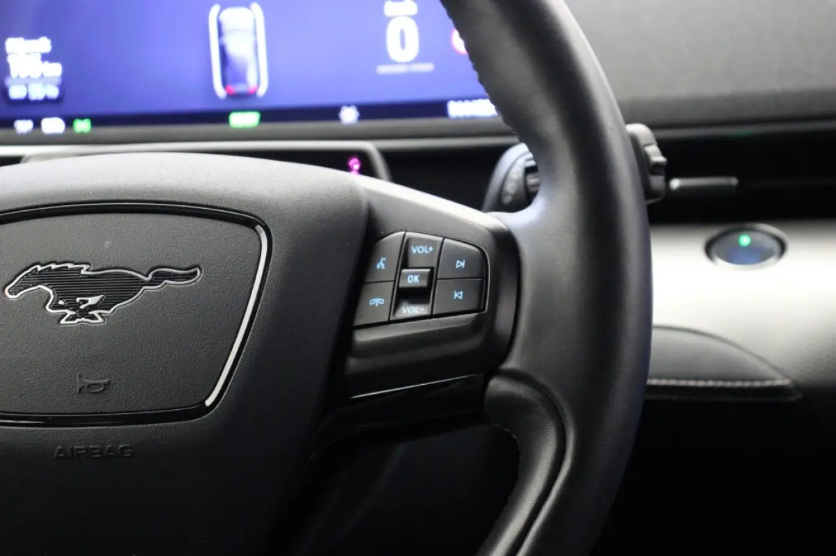 RWD 75 kWh - Carplay, Camera, Leer, Stoel/Stuur Verw. B&O, Afn. Trekhaak, SOH 93%
