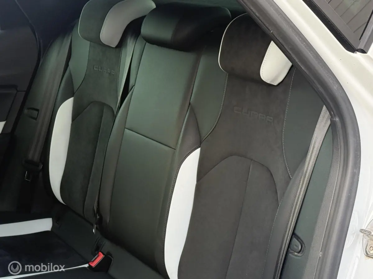 2.0 TSI Cupra 265 DSG|Seat Sound|LED|Maxton