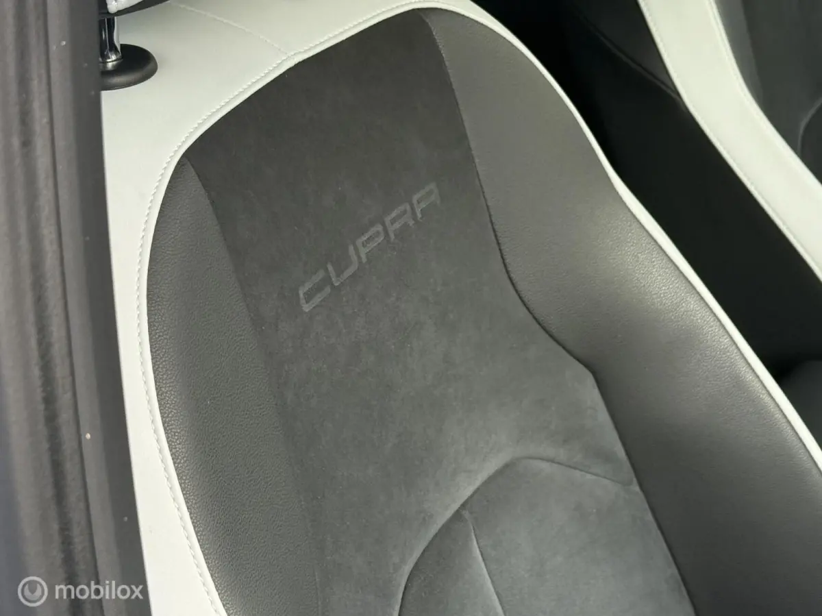2.0 TSI Cupra 265 DSG|Seat Sound|LED|Maxton