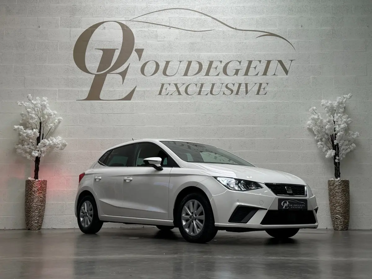 1.0 TSI Style Intense / Camera / Carplay + Android Auto / Adaptive Cruise / PDC V+A / Garantie /