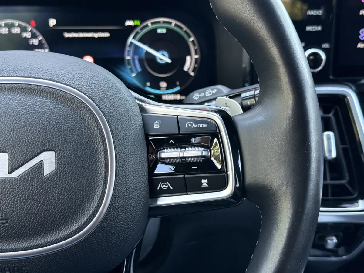 1.6 T-GDI Plug-in Hybrid 4WD ExecutiveLine 7p. | Vol opties | BTW | 1e Eig | SOH 97%