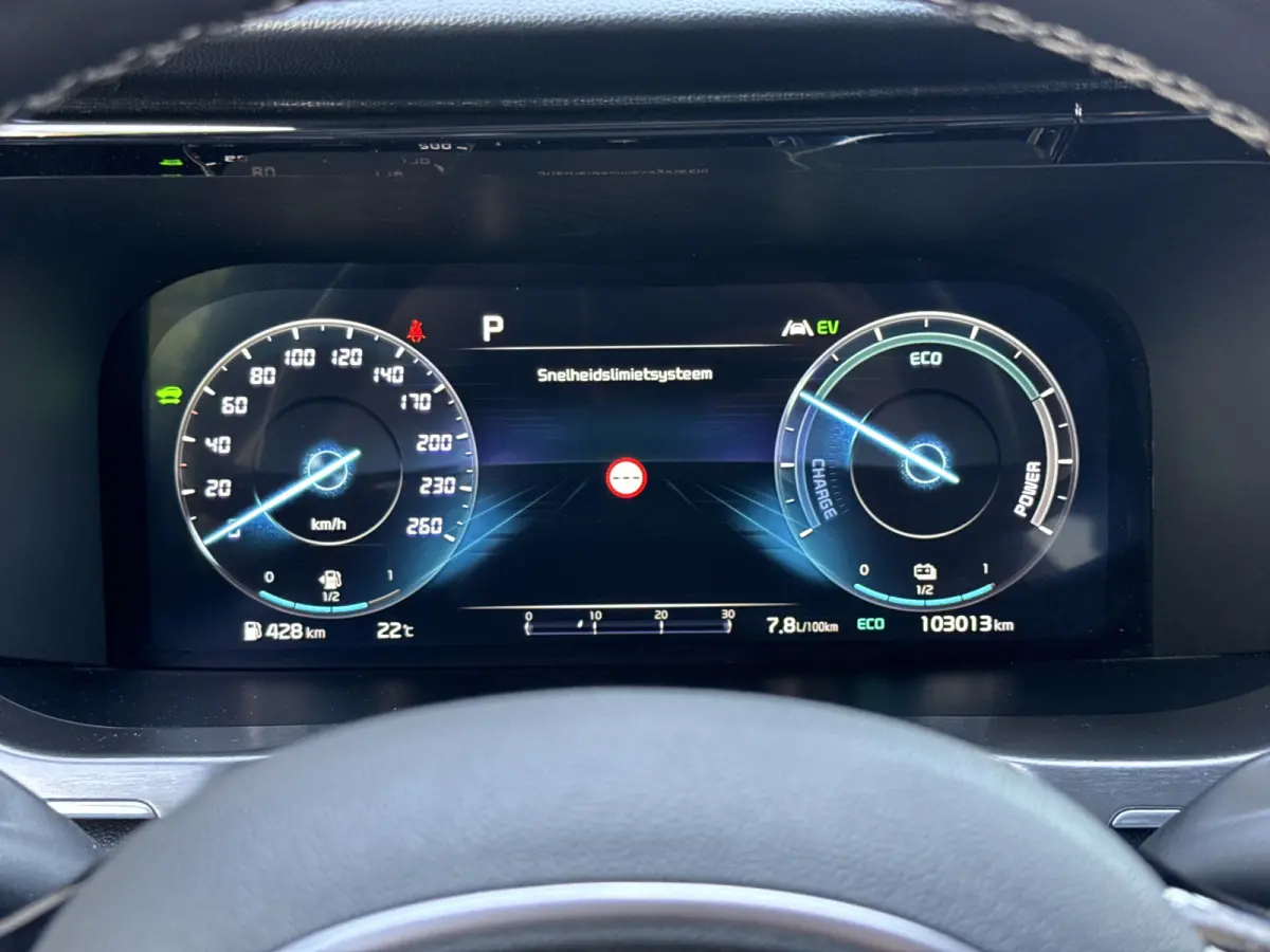 1.6 T-GDI Plug-in Hybrid 4WD ExecutiveLine 7p. | Vol opties | BTW | 1e Eig | SOH 97%