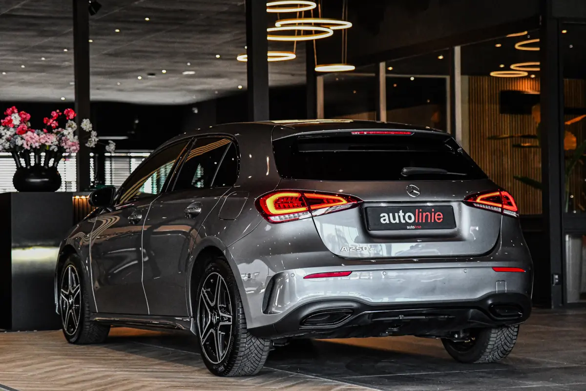 250 e AMG Edition, Night, Burmester, ACC, Trekhaak, Dodeh, Sfeer, Camera!
