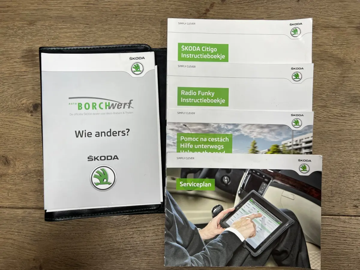 1.0 Greentech Edition | 1ste eigenaar | Distributie vervangen | NAP