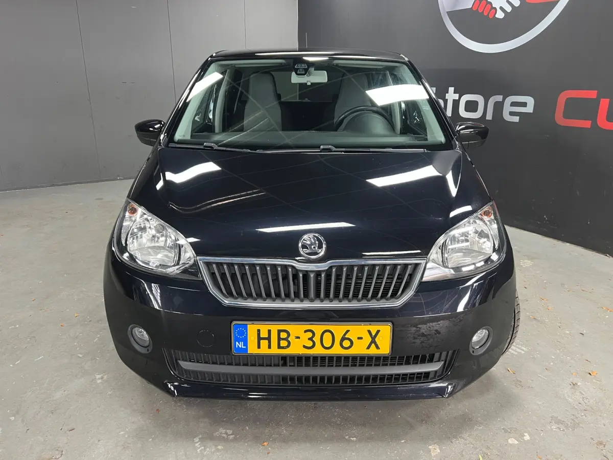 1.0 Greentech Edition | 1ste eigenaar | Distributie vervangen | NAP