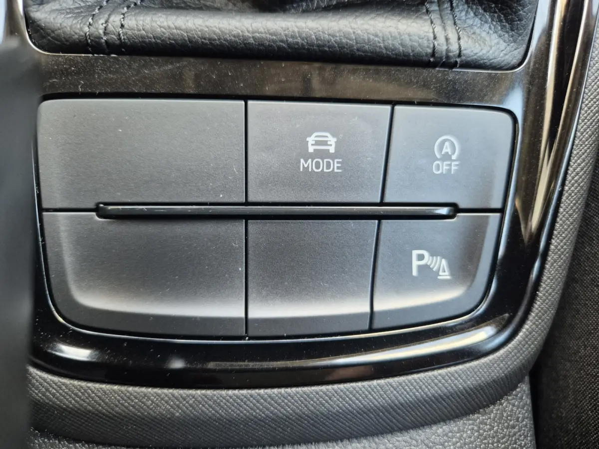 1.5 TSI ACT Business Edition,Cruisecontrol,Nav/Camera/Carplay,Stoel/Stuurverwarming,parkcontrol,