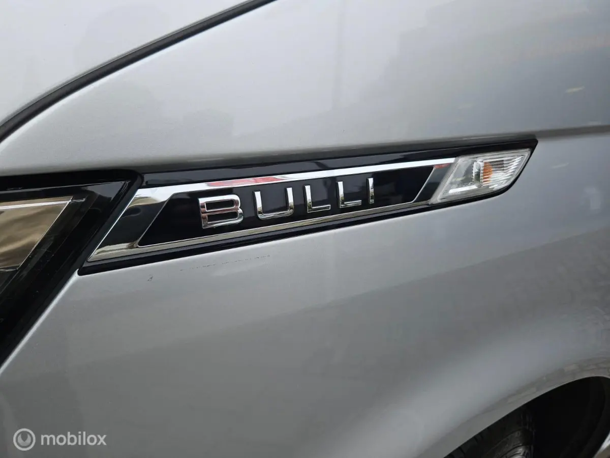 2.0 TDI L2H3 30 Bulli