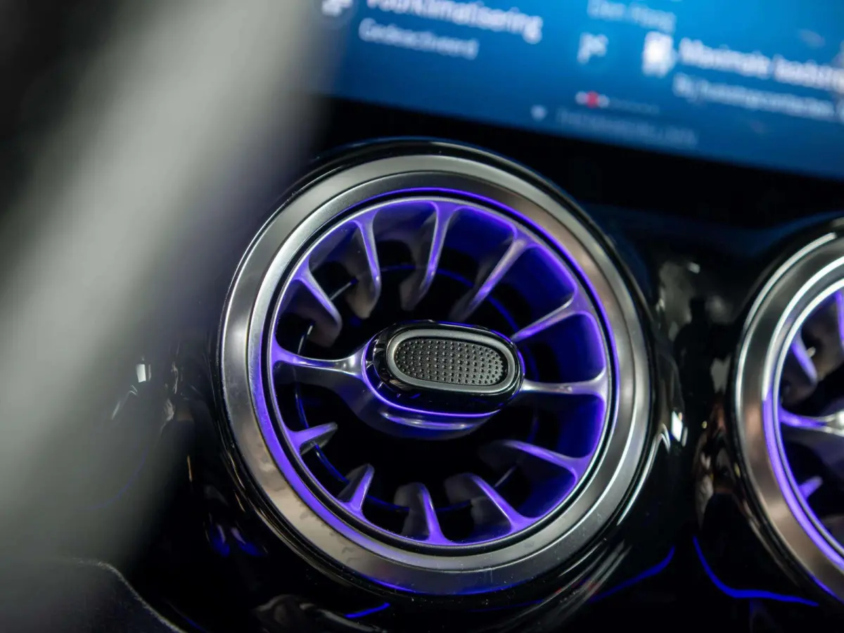 250 Business Solution AMG 67 kWh | Panorama dak