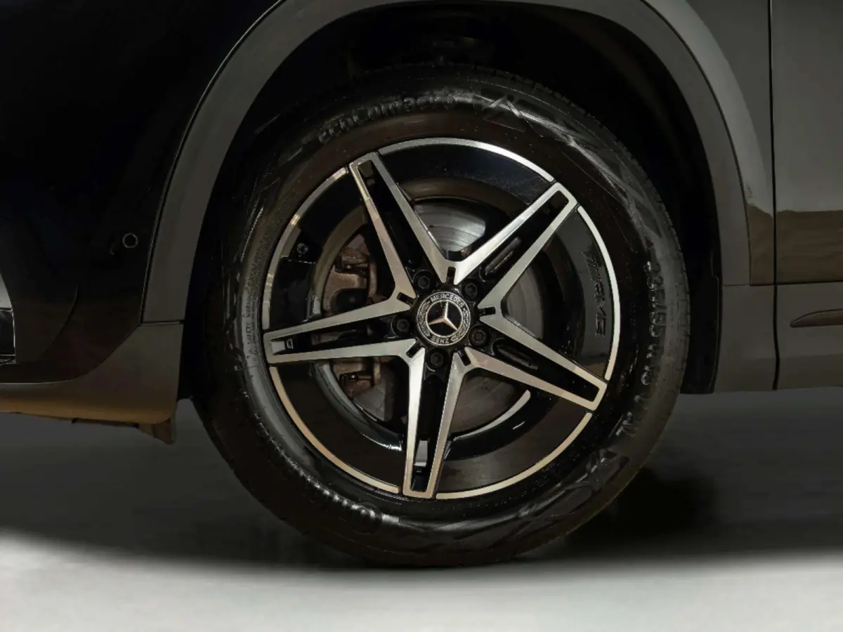 250 Business Solution AMG 67 kWh | Panorama dak